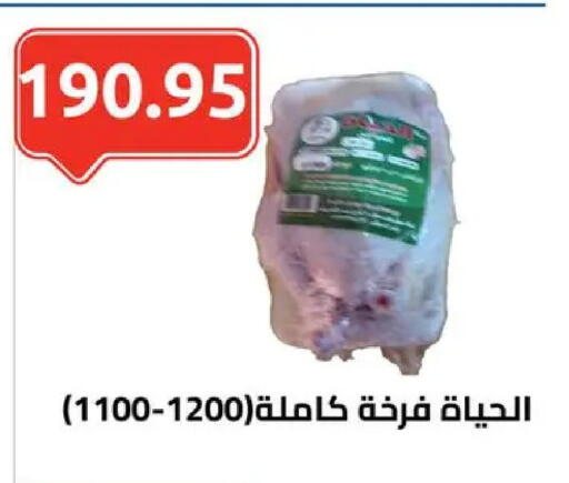 available at الهواري in Egypt - القاهرة