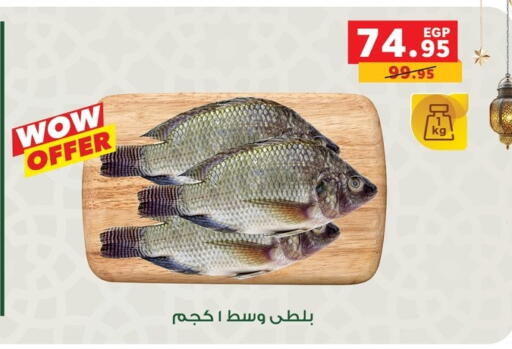 available at بنده in Egypt - القاهرة