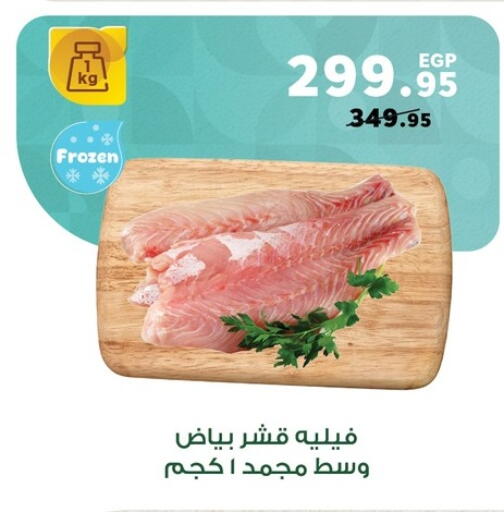 available at بنده in Egypt - القاهرة
