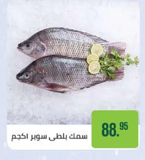 available at Seoudi Supermarket in Egypt - Cairo