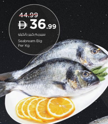 available at نستو هايبرماركت in الإمارات العربية المتحدة , الامارات - ٱلْفُجَيْرَة‎