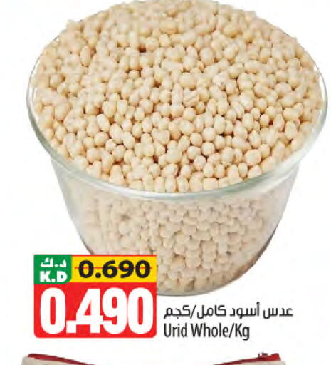 Mango available at Mango Hypermarket  in Kuwait - Kuwait City