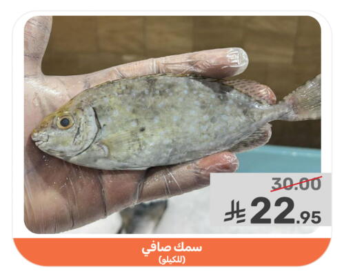 available at Mazaya in KSA, Saudi Arabia, Saudi - Qatif