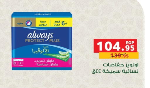 available at Panda  in Egypt - Cairo