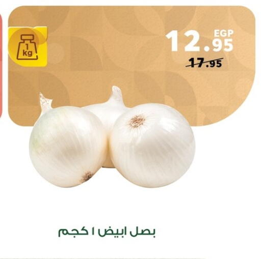 available at Panda  in Egypt - Cairo