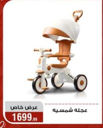 available at Al Morshedy  in Egypt - Cairo