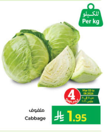 Cabbage available at Kabayan Hypermarket in KSA, Saudi Arabia, Saudi - Yanbu