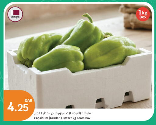 Capsicum from Qatar available at سيتي هايبرماركت in قطر - الخور