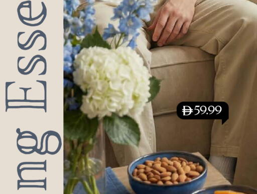 available at مارك & سيف in الإمارات العربية المتحدة , الامارات - أبو ظبي