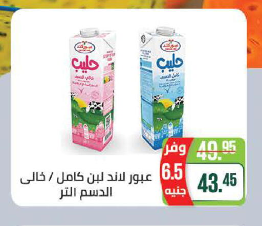 available at Seoudi Supermarket in Egypt - Cairo
