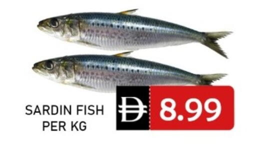 available at متجر الهدايا الخضراء in الإمارات العربية المتحدة , الامارات - أبو ظبي