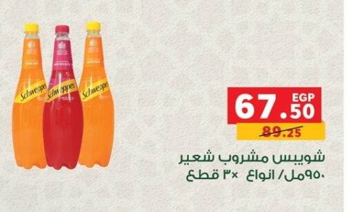 available at بنده in Egypt - القاهرة