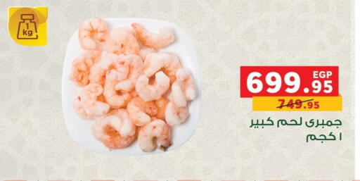 available at بنده in Egypt - القاهرة