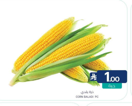 available at اسواق المنتزه in مملكة العربية السعودية, السعودية, سعودية - القطيف‎