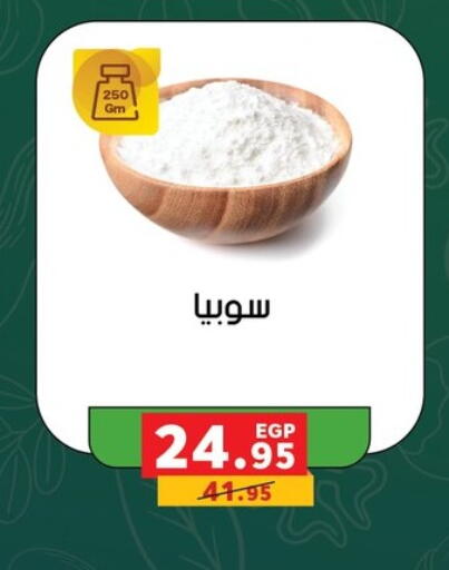available at بنده in Egypt - القاهرة