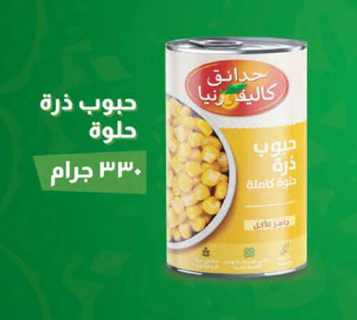 available at Seoudi Supermarket in Egypt - Cairo