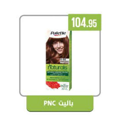 available at سعودي سوبرماركت in Egypt - القاهرة