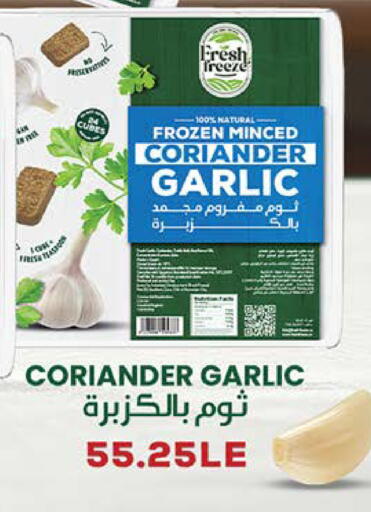 Coriander Garlic available at سعودي سوبرماركت in Egypt - القاهرة