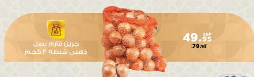 available at Panda  in Egypt - Cairo