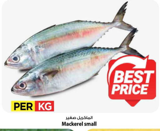 available at Mark & Save in Kuwait - Kuwait City