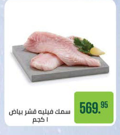 available at سعودي سوبرماركت in Egypt - القاهرة