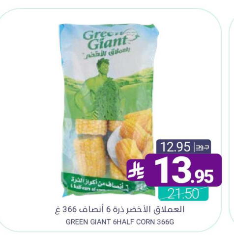 available at Muntazah Markets in KSA, Saudi Arabia, Saudi - Dammam
