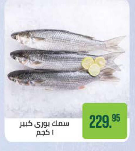 available at سعودي سوبرماركت in Egypt - القاهرة