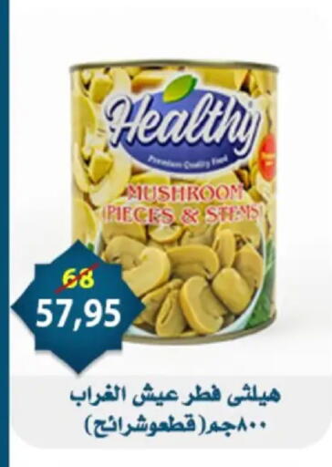 Mushroom available at Aswaq Albader in Egypt - Cairo