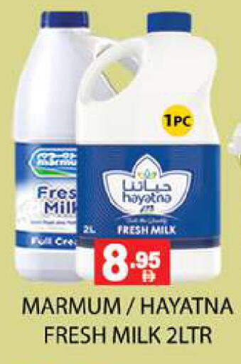 available at Zain Mart Supermarket in UAE - Ras al Khaimah