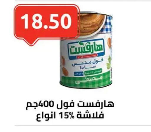 available at الهواري in Egypt - القاهرة