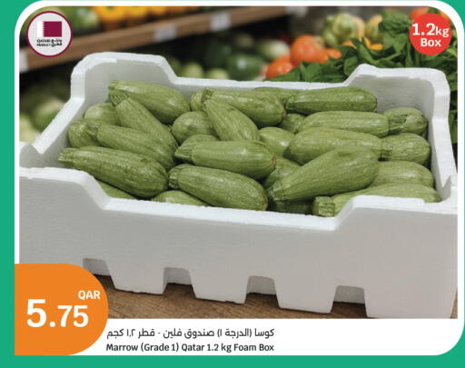 Marrow from Qatar available at سيتي هايبرماركت in قطر - الخور