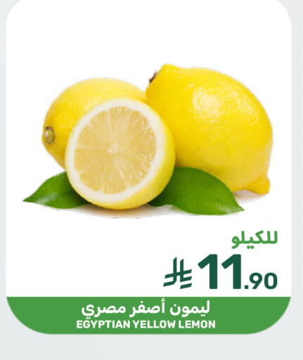 Lemon from Egypt available at  مـزايــا in مملكة العربية السعودية, السعودية, سعودية - القطيف‎