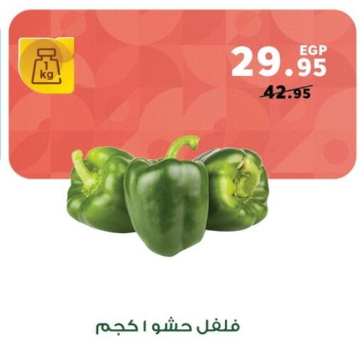 available at Panda  in Egypt - Cairo