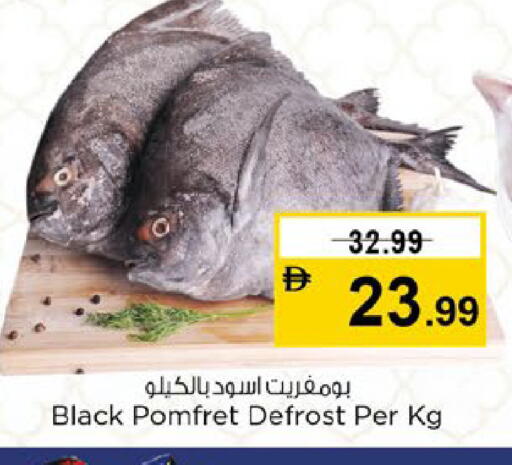 available at نستو هايبرماركت in الإمارات العربية المتحدة , الامارات - ٱلْعَيْن‎