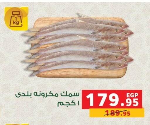 available at بنده in Egypt - القاهرة