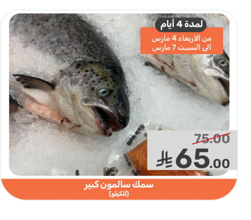 available at Mazaya in KSA, Saudi Arabia, Saudi - Qatif