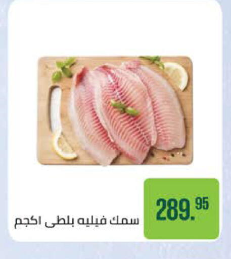 available at Seoudi Supermarket in Egypt - Cairo