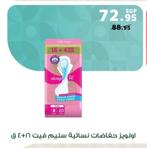 available at Panda  in Egypt - Cairo