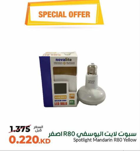 Mandarin available at جمعية خيطان التعاونية in الكويت - محافظة الجهراء