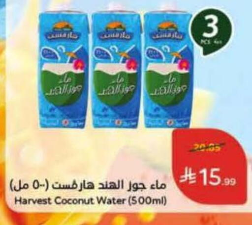 Coconut available at Hyper Panda in KSA, Saudi Arabia, Saudi - Bishah