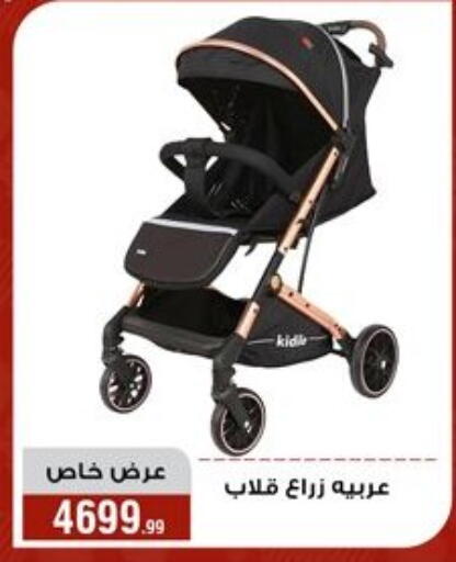 available at Al Morshedy  in Egypt - Cairo