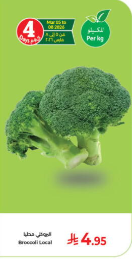 Broccoli available at Kabayan Hypermarket in KSA, Saudi Arabia, Saudi - Jeddah