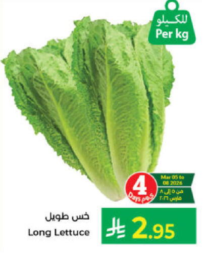 Lettuce available at Kabayan Hypermarket in KSA, Saudi Arabia, Saudi - Jeddah