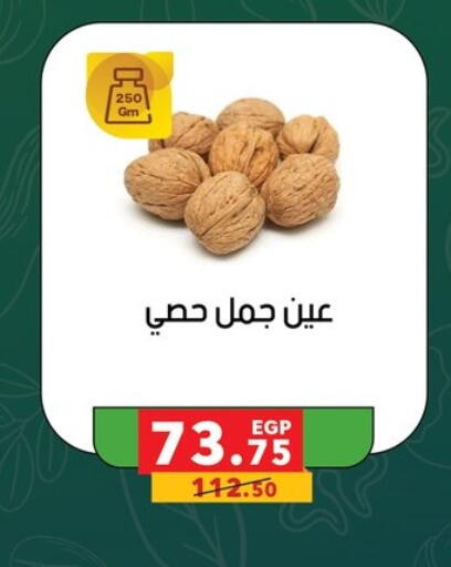 available at Panda  in Egypt - Cairo