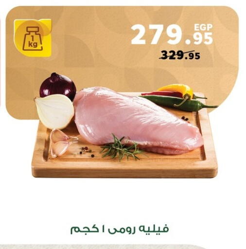 available at بنده in Egypt - القاهرة