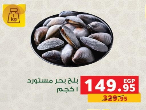 available at Panda  in Egypt - Cairo