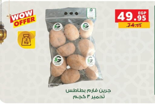 available at بنده in Egypt - القاهرة