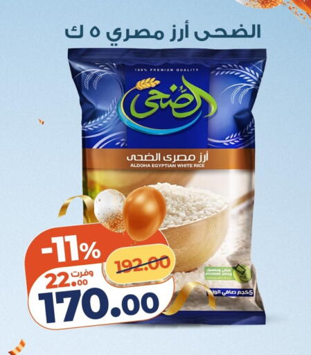 available at كازيون in Egypt - القاهرة