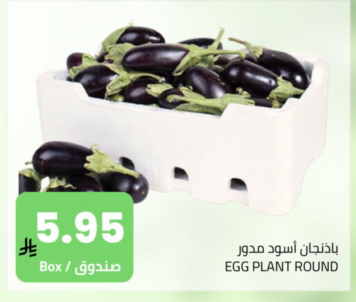 available at Astra Markets in KSA, Saudi Arabia, Saudi - Tabuk
