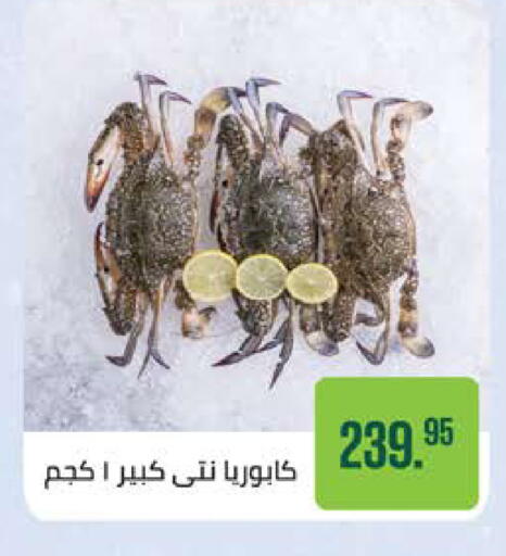 available at Seoudi Supermarket in Egypt - Cairo